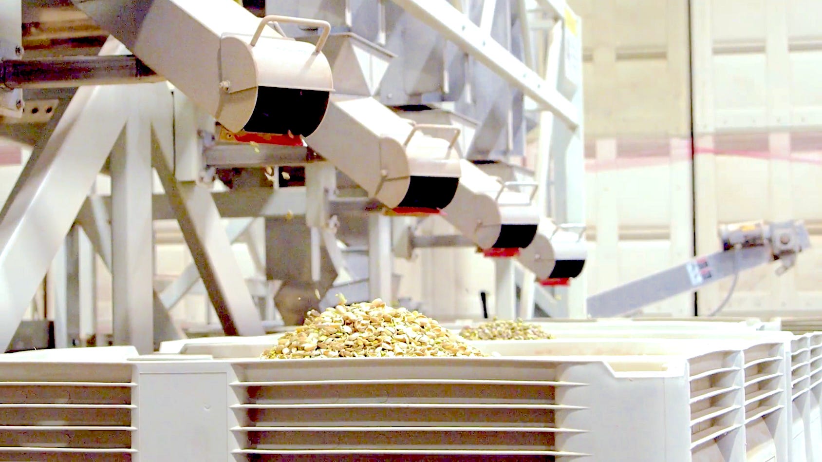 pistachio dispesners in a factory