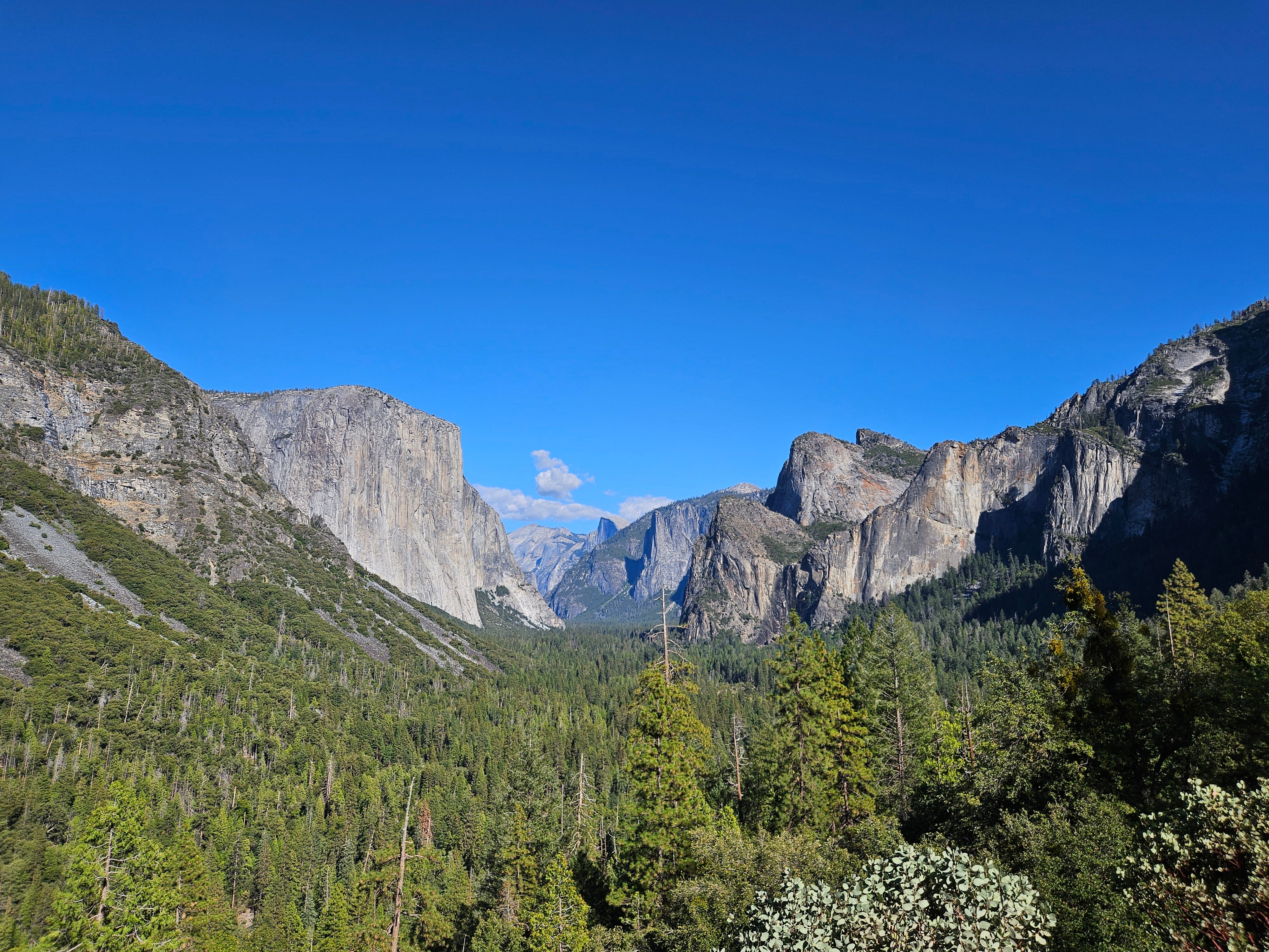 El Capitan and Half Dome