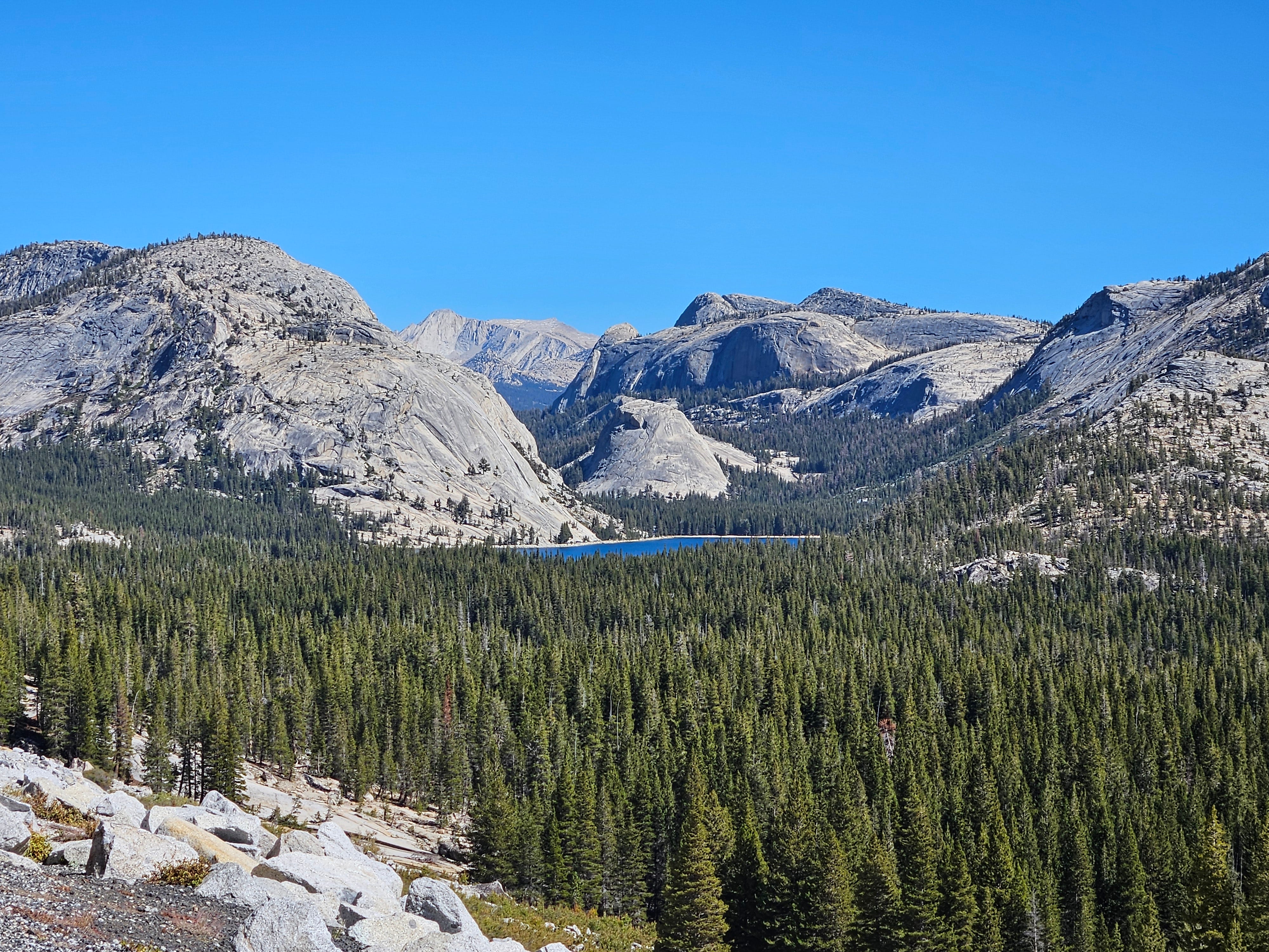 Yosemite National Park