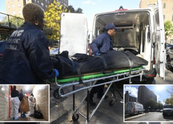 Wacko stabs roommate to death in fight over ‘living situation’ in NYC project: cops