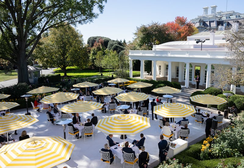 rose garden
