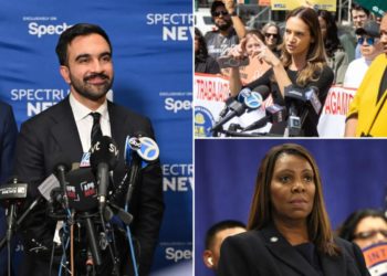 NYC politicians freaked out over the Canal Street raid — showing they care more about sticking it to Trump than protecting New Yorkers