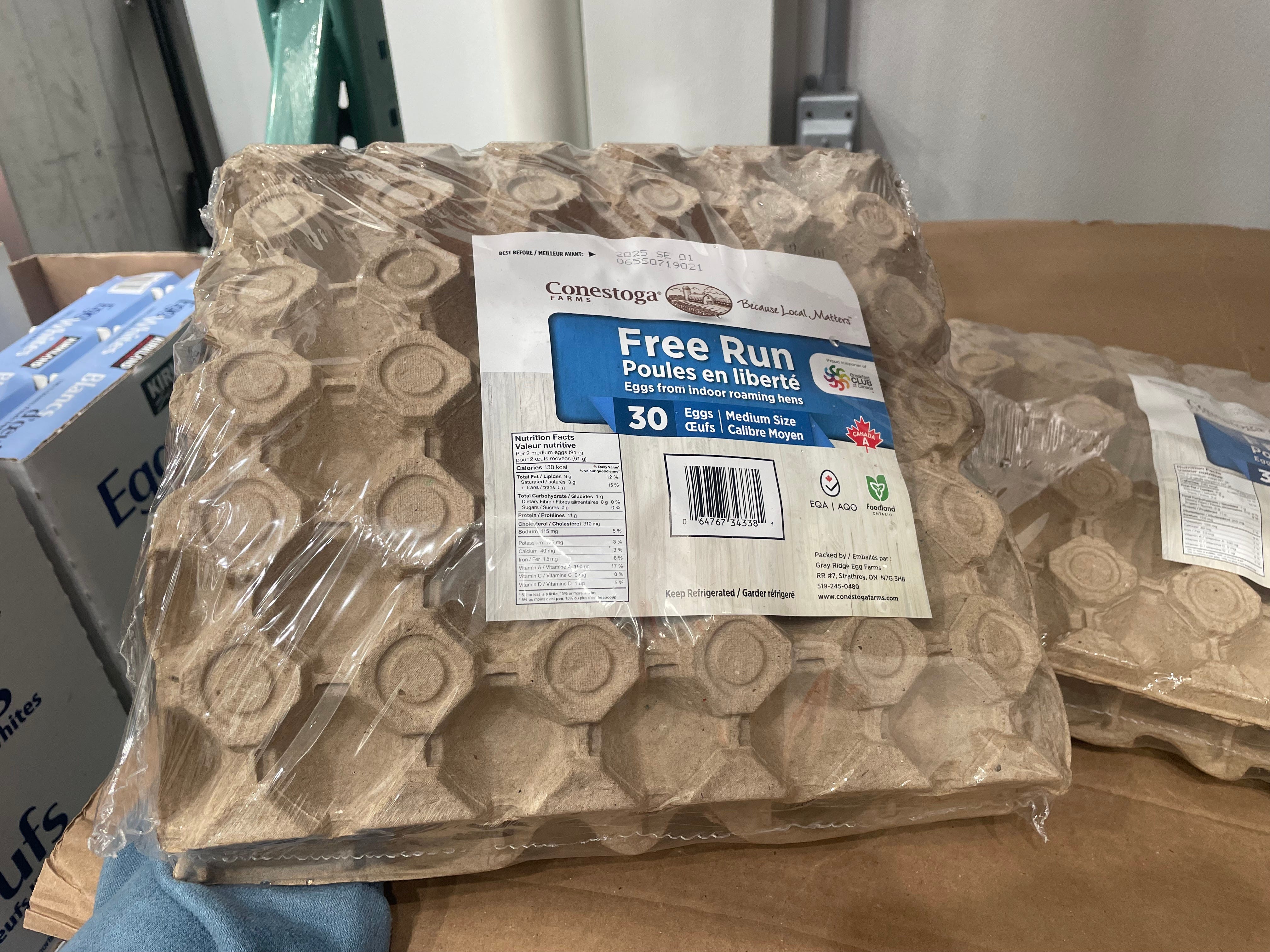 The author holding a 30-pack of eggs.