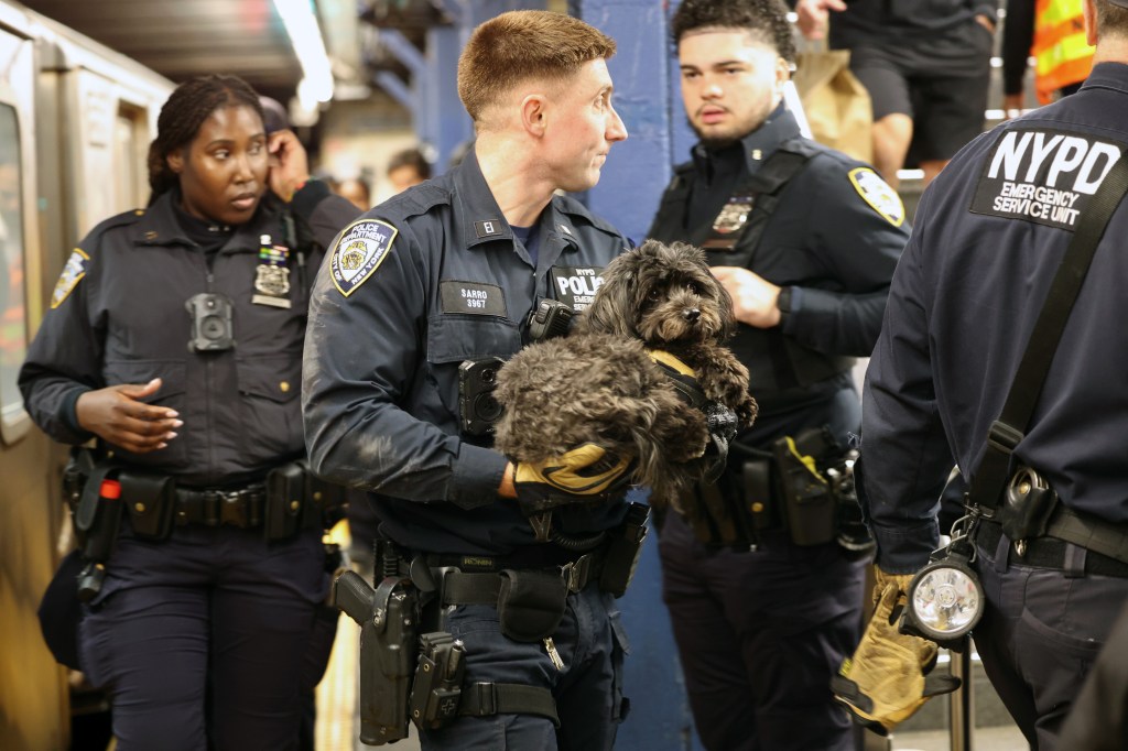 NYPD ESU officer with a dog that was under an uptown train.