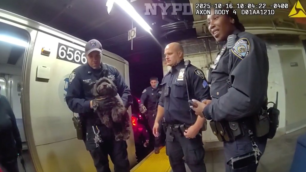 Moose was carried by cops.