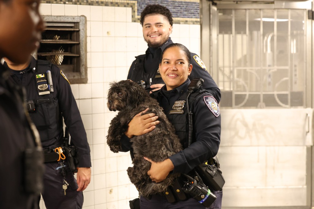 Officer holds the dog.