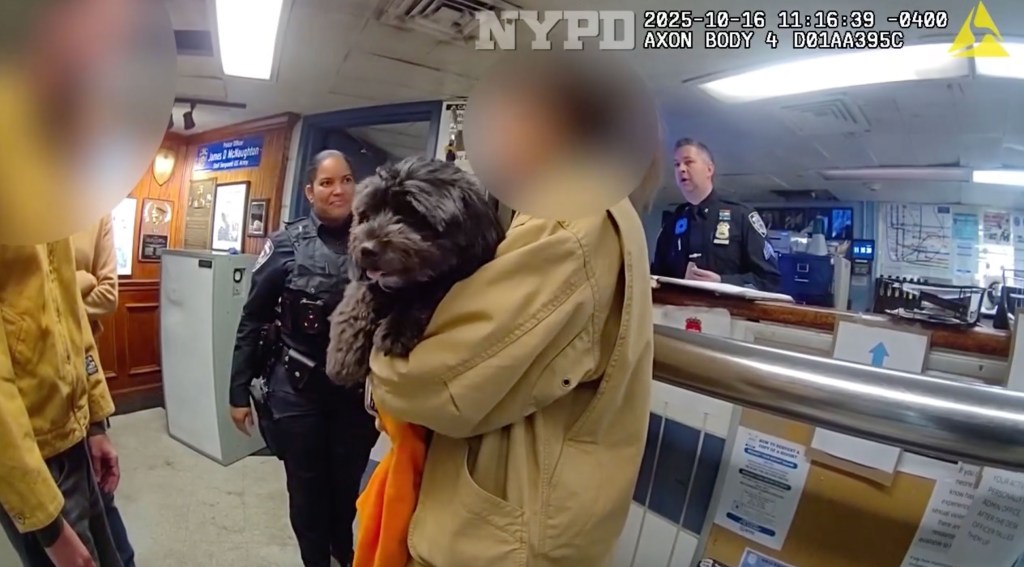 Owner picking up moose at precinct.