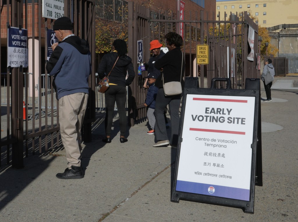 People line up for early voting.