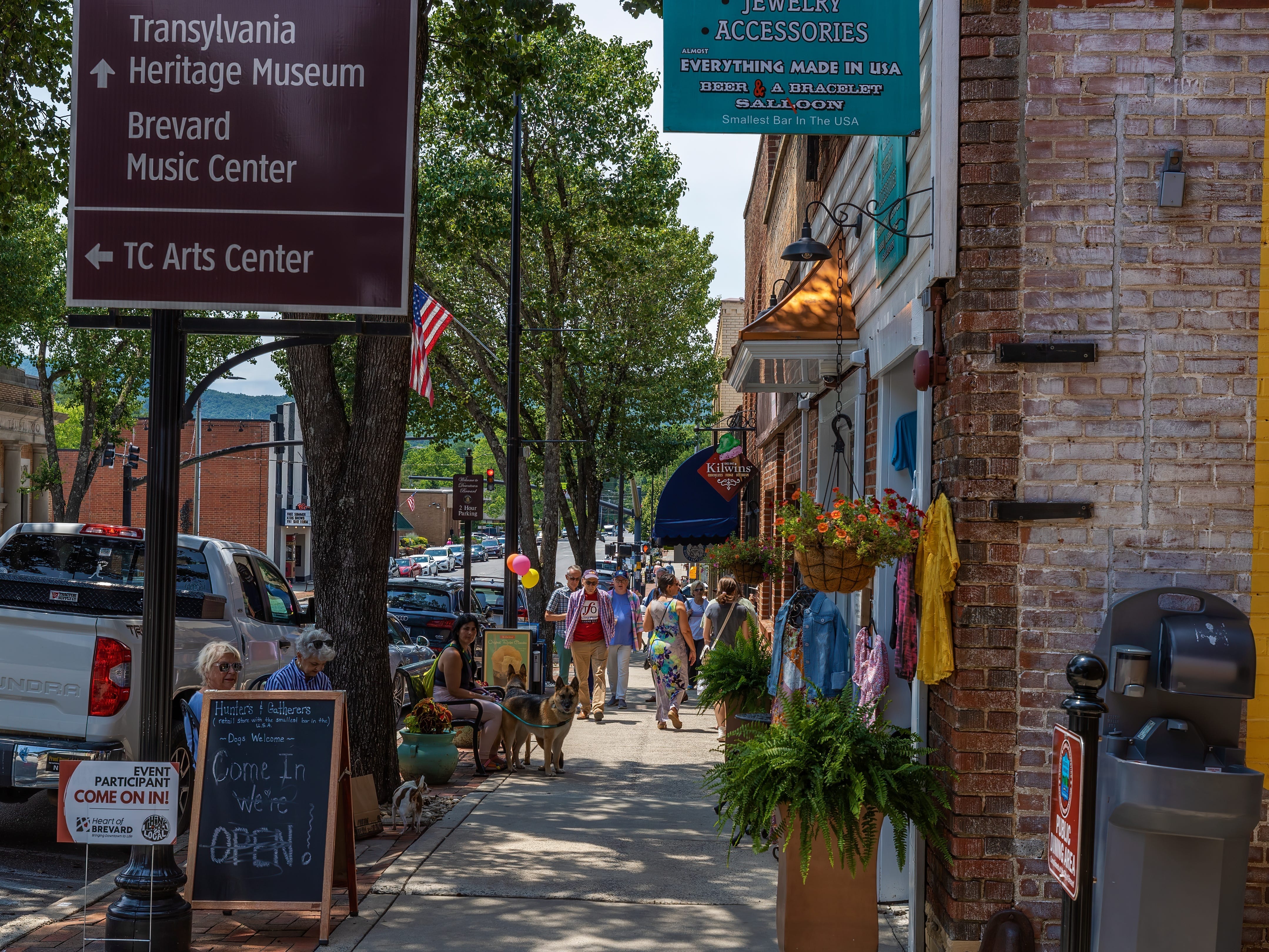 A wide shot of downtown Brevard, North Carolina.