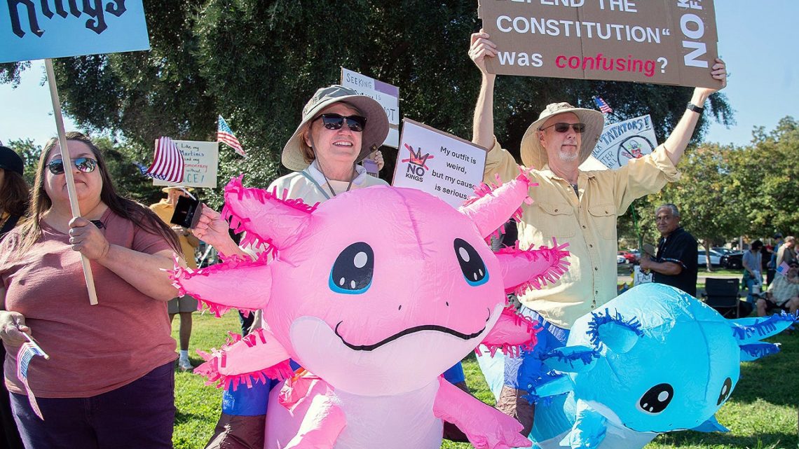 ‘No Kings’ protests largely comprised of people from one demographic: experts