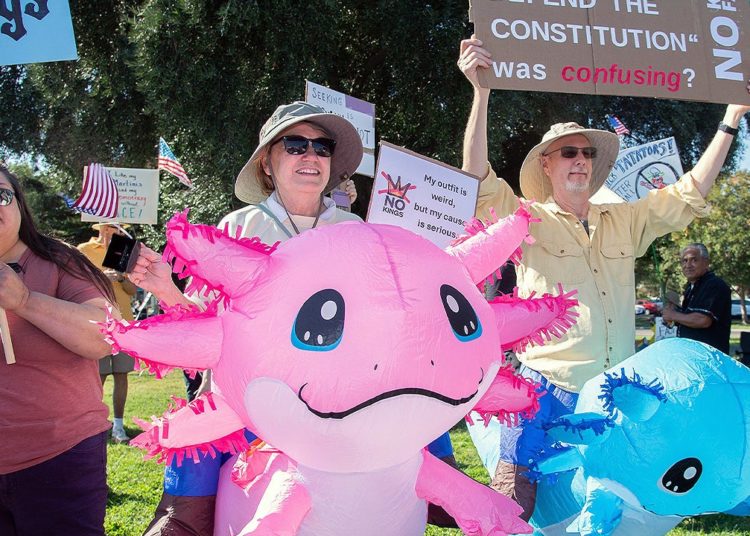 ‘No Kings’ protests largely comprised of people from one demographic: experts