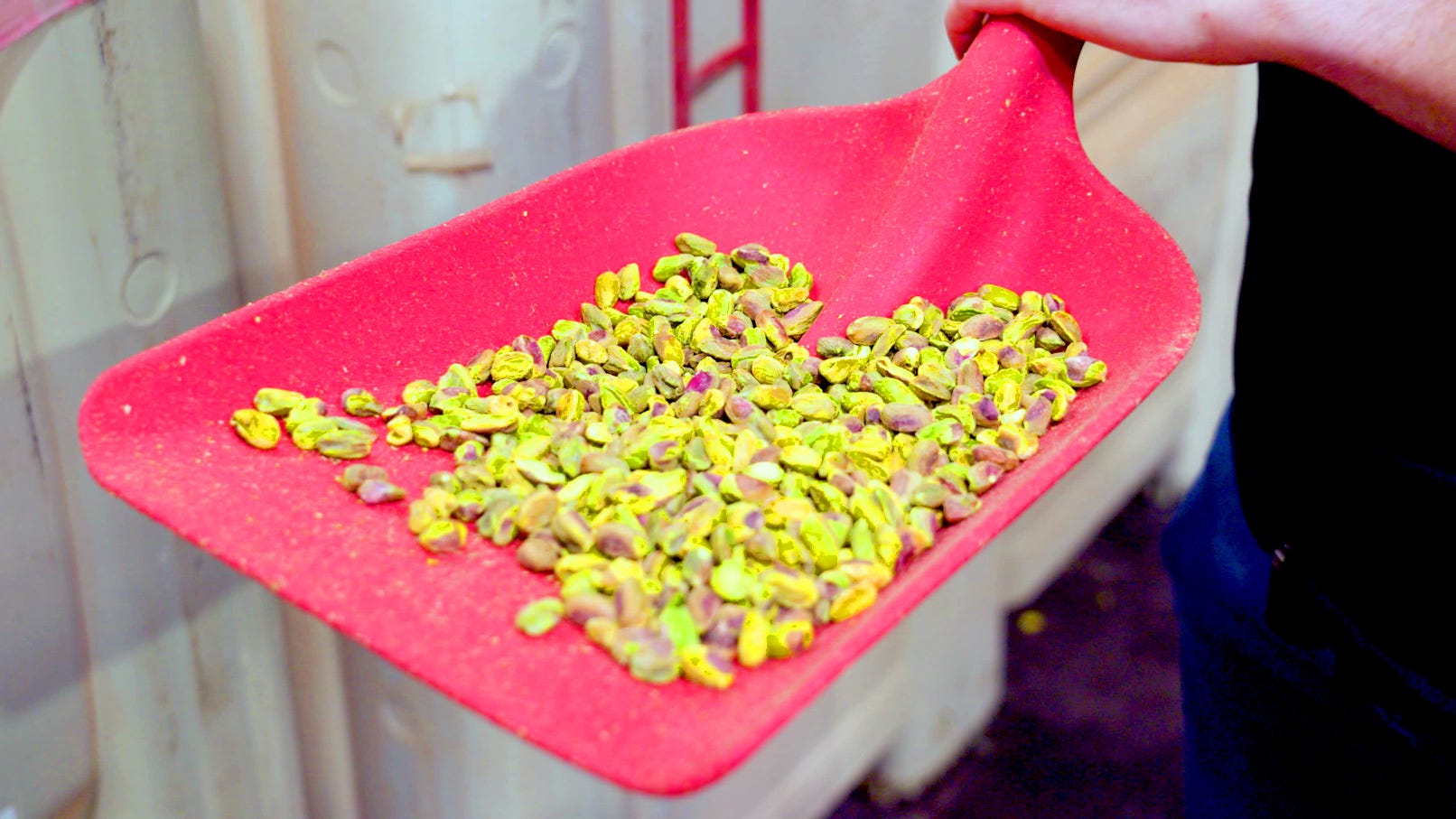 Pistachios