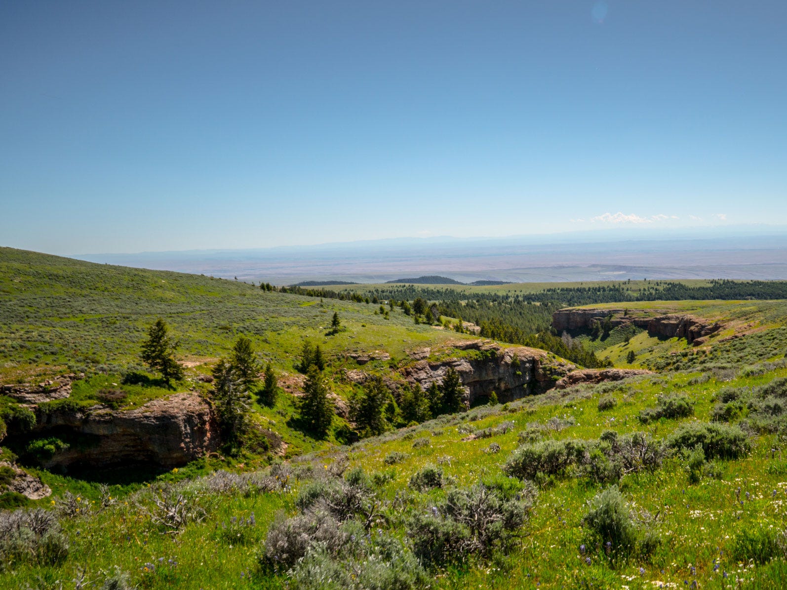 Bighorn 4