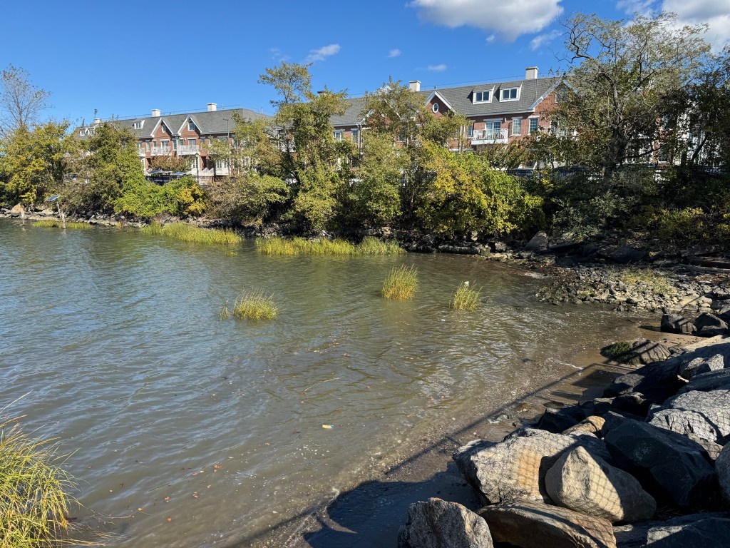 The College Point shore where the incident ocurred.