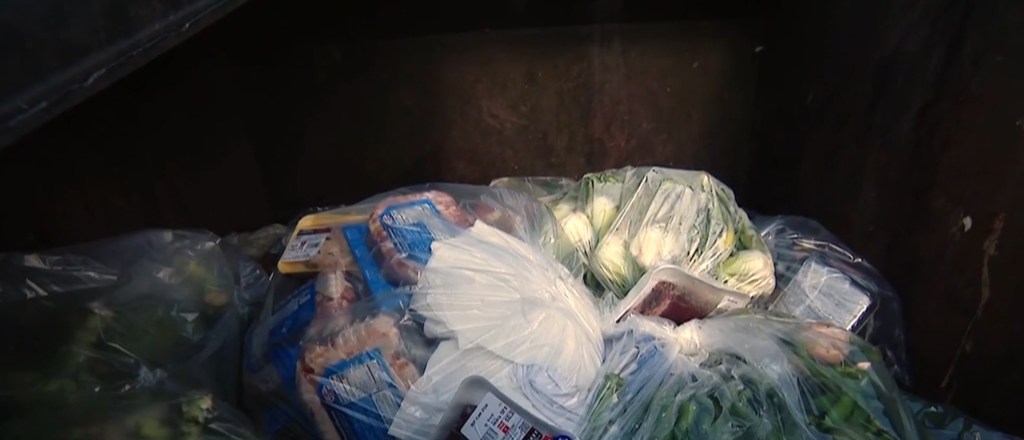 Dumpster full of rotting packaged meat and vegetables.