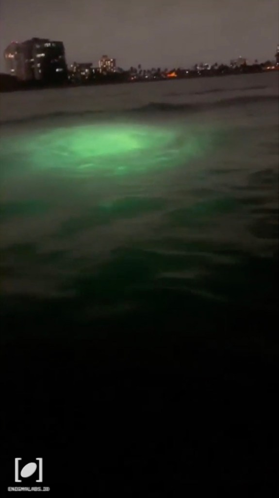 Two bright green lights hovering underwater in the Fort Lauderdale, Florida river with buildings in the background.