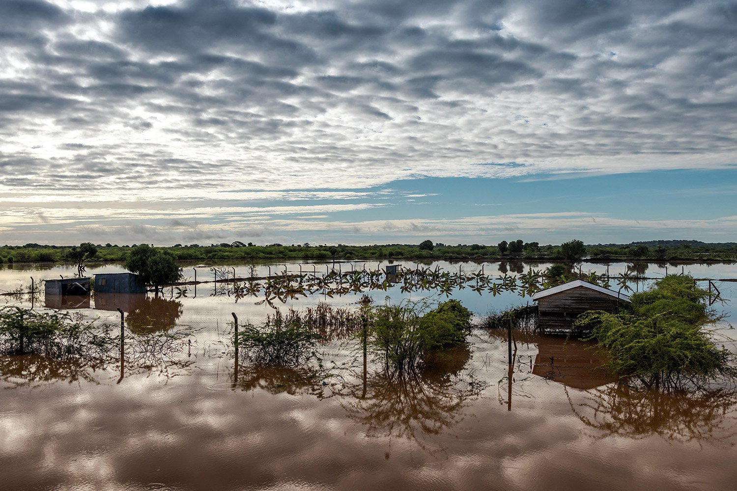 Rural farmland covered in flood waters under a looming cloudy sky.