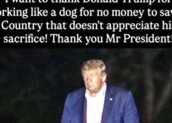 Trump, 79, Whines About ‘Working Like a Dog for No Money’