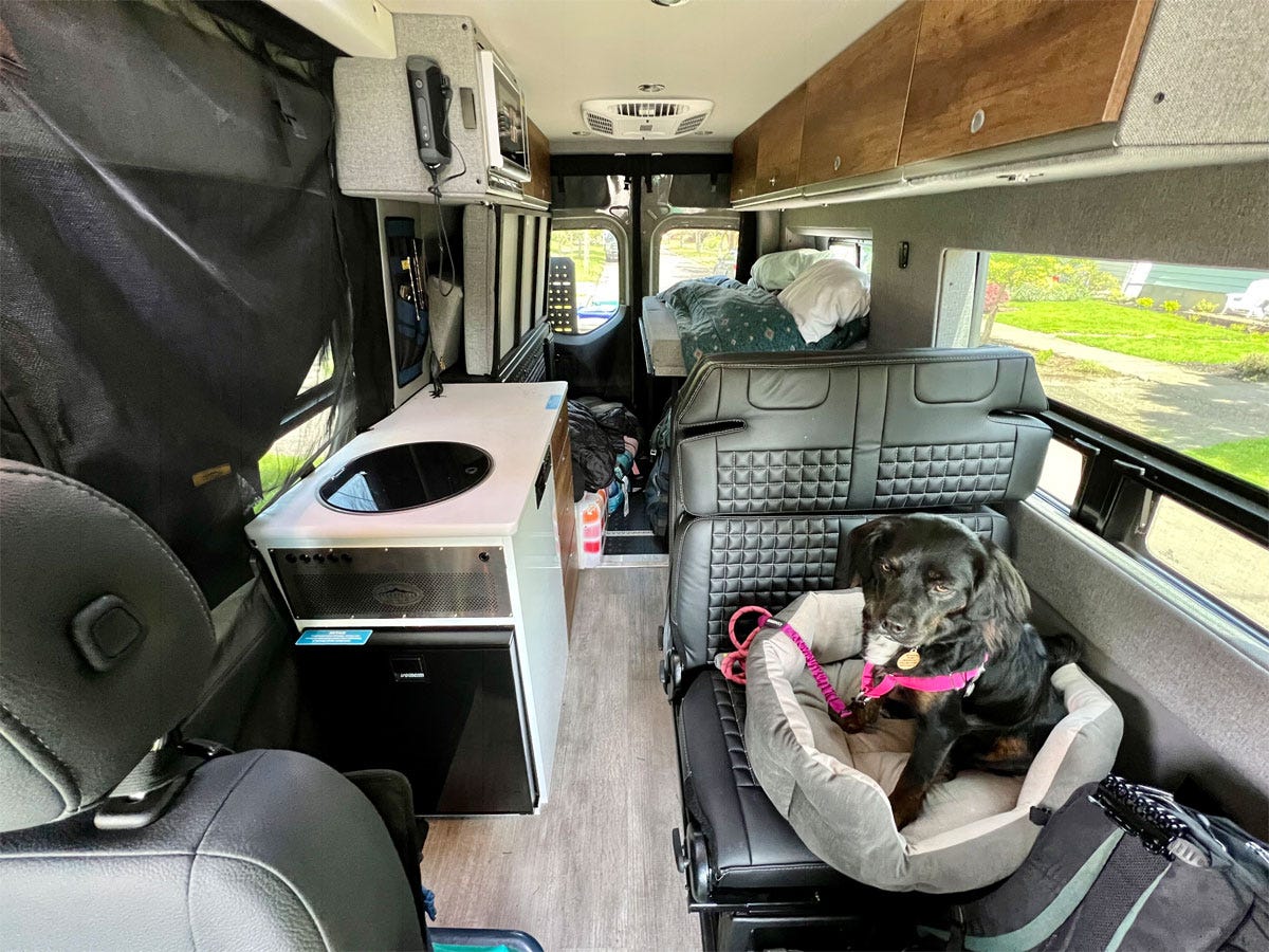 inside of van with dog