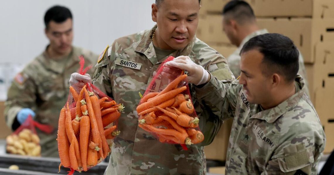 ‘I’m terrified’: Hunger looms as millions prepare to lose food aid amid shutdown