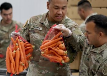 ‘I’m terrified’: Hunger looms as millions prepare to lose food aid amid shutdown