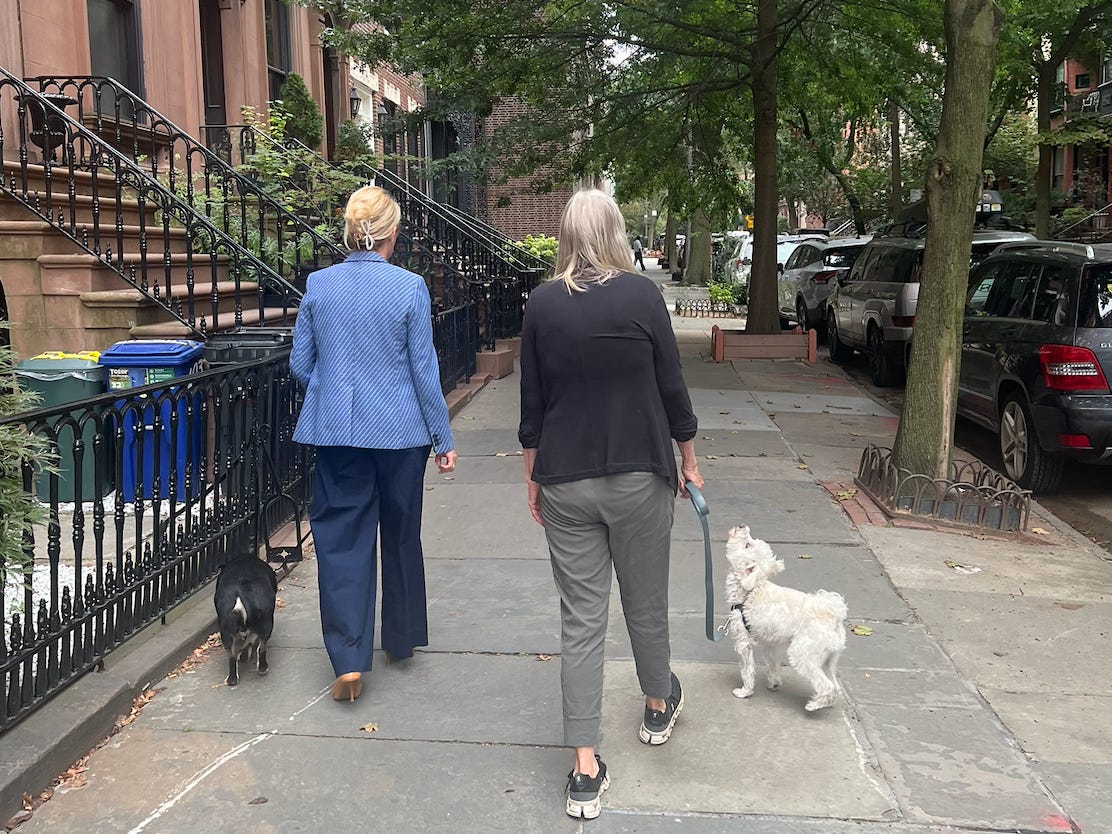 Women walking dogs in NYC