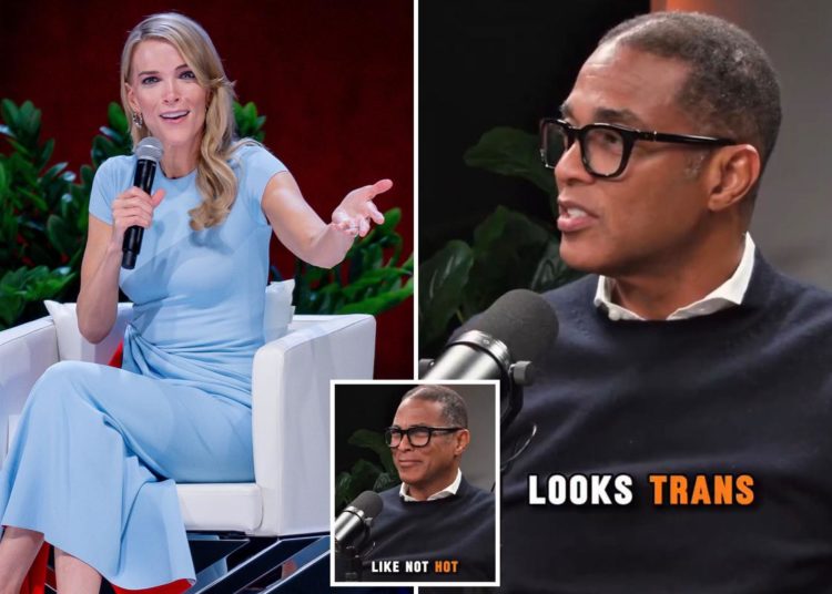 ‘Hypocrite’ Don Lemon torched for saying Megyn Kelly looks ‘trans’: ‘The Left is using ‘Trans’ as an insult now?’