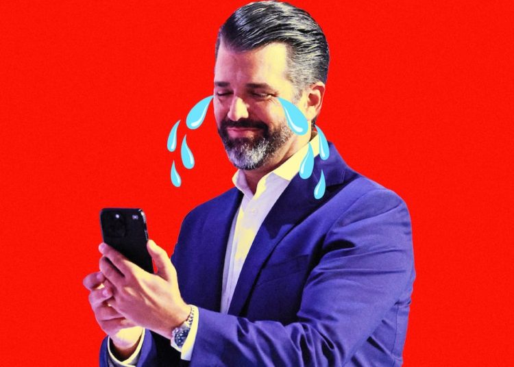 Don Jr. Suggests Wild Conspiracy Behind His Lack of Retweets