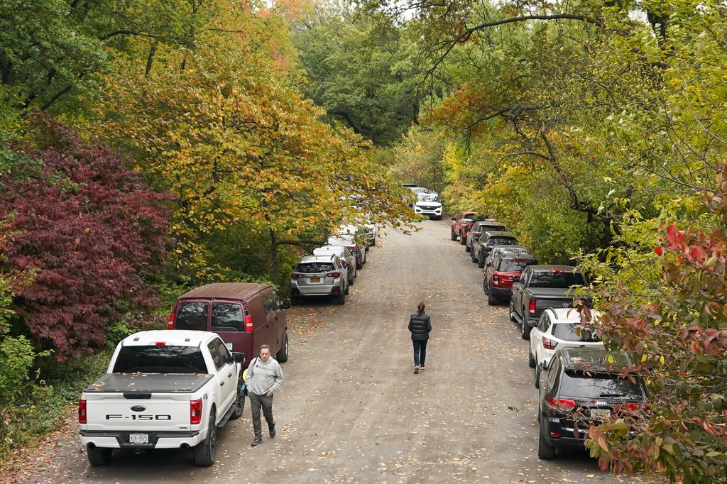 Cars parked along a dirt road lined with colorful autumn trees.