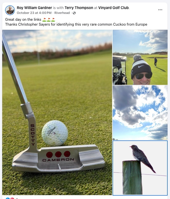 Collage of a putter and golf ball on a golf course, a golfer in a winter hat, a cloudy sky, and a cuckoo bird on a post.
