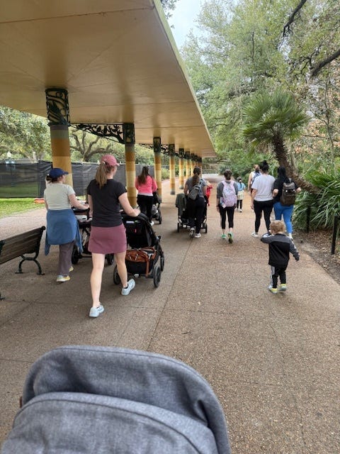 a group of women with their backs to the camera pushing strollers.