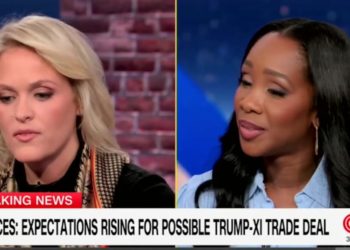 MAGA Strategist Suffers Brutal Factcheck Live on CNN