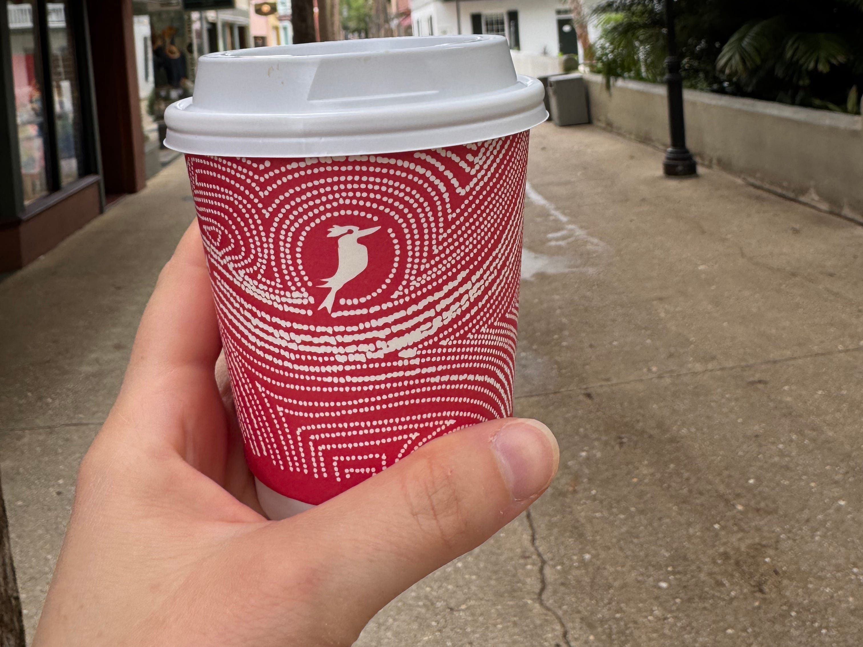 Cup of Kookaburra coffee, overlooking St. George Street.