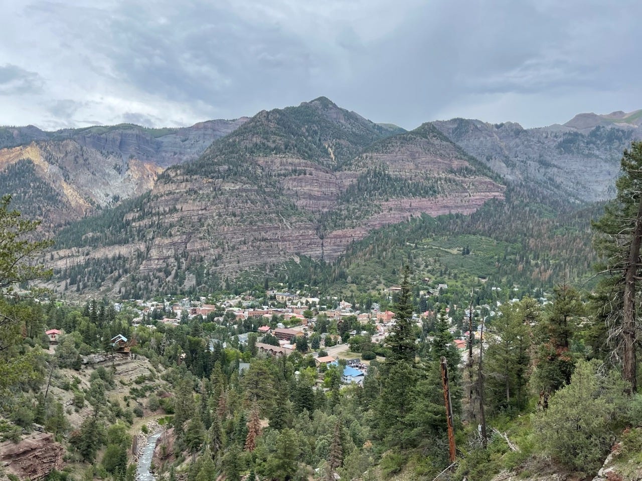 View of mountains, trees in Ouray