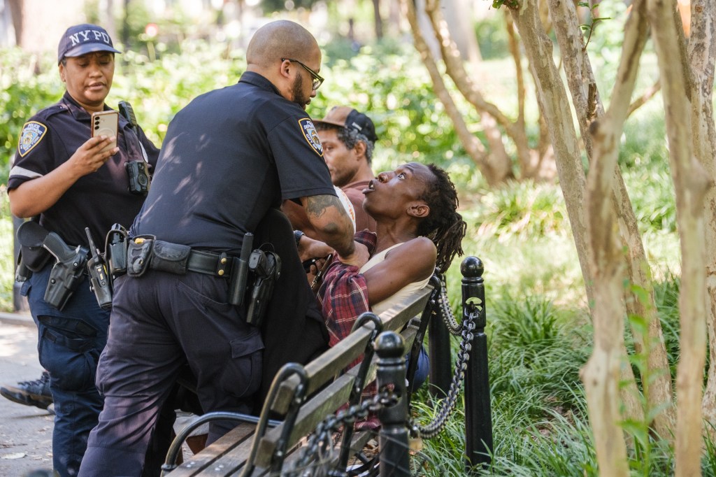 Two NYPD officers arresting a man smoking crack cocaine in Washington Square Park.