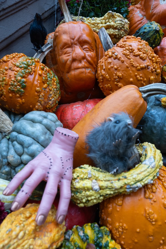 Halloween-themed stoop decoration of gourds, pumpkins, a carved pumpkin face, a fake crow, a pink dismembered hand, and a fake rat.