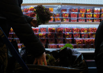 Older New Yorkers Brace for Food Stamp Cuts: ‘I’m Just Praying’