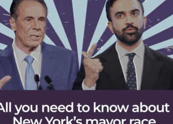 The New York City mayoral race – in five maps and charts