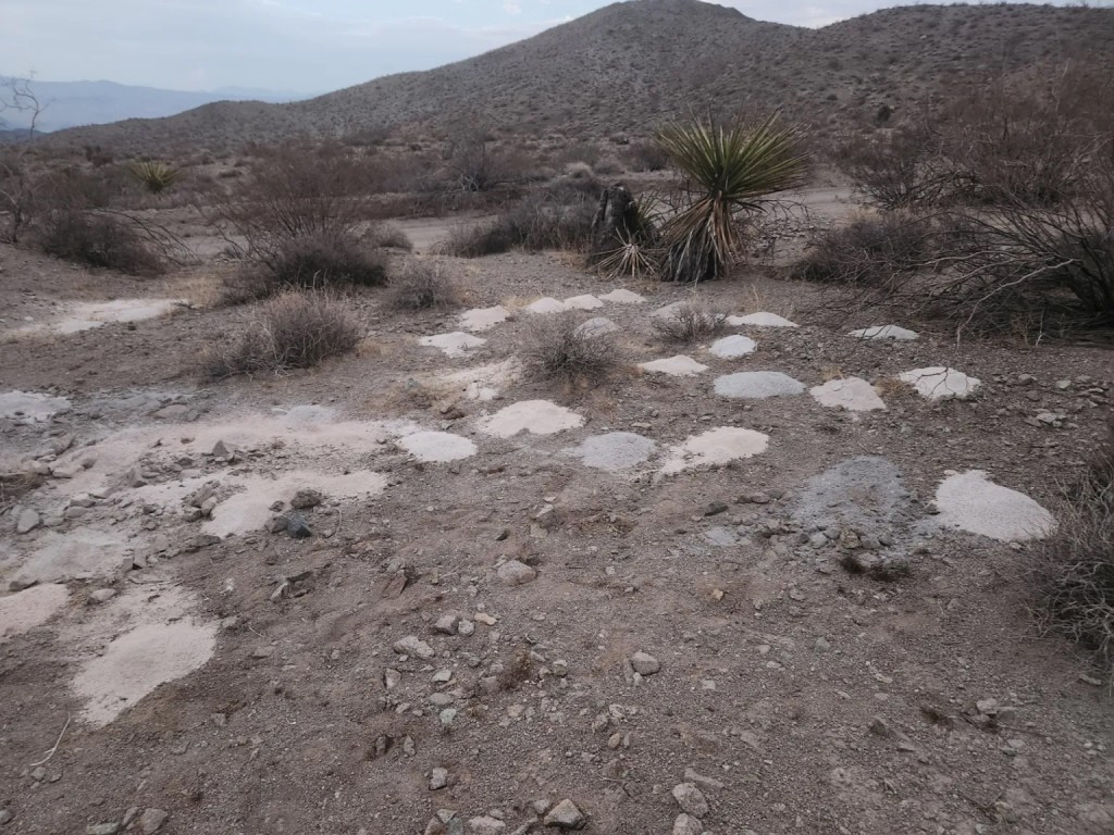 Piles of ashes found in the desert of Searchlight, Nevada.
