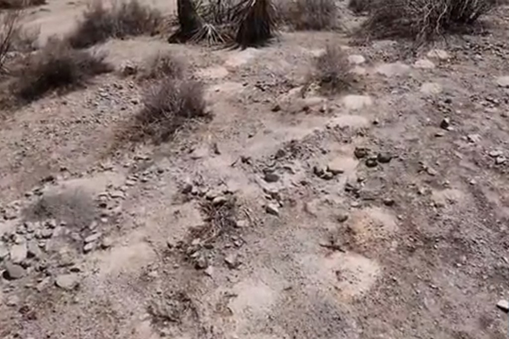 Early reports suggested that the ashes may have been dumped by a commercial funeral home business.