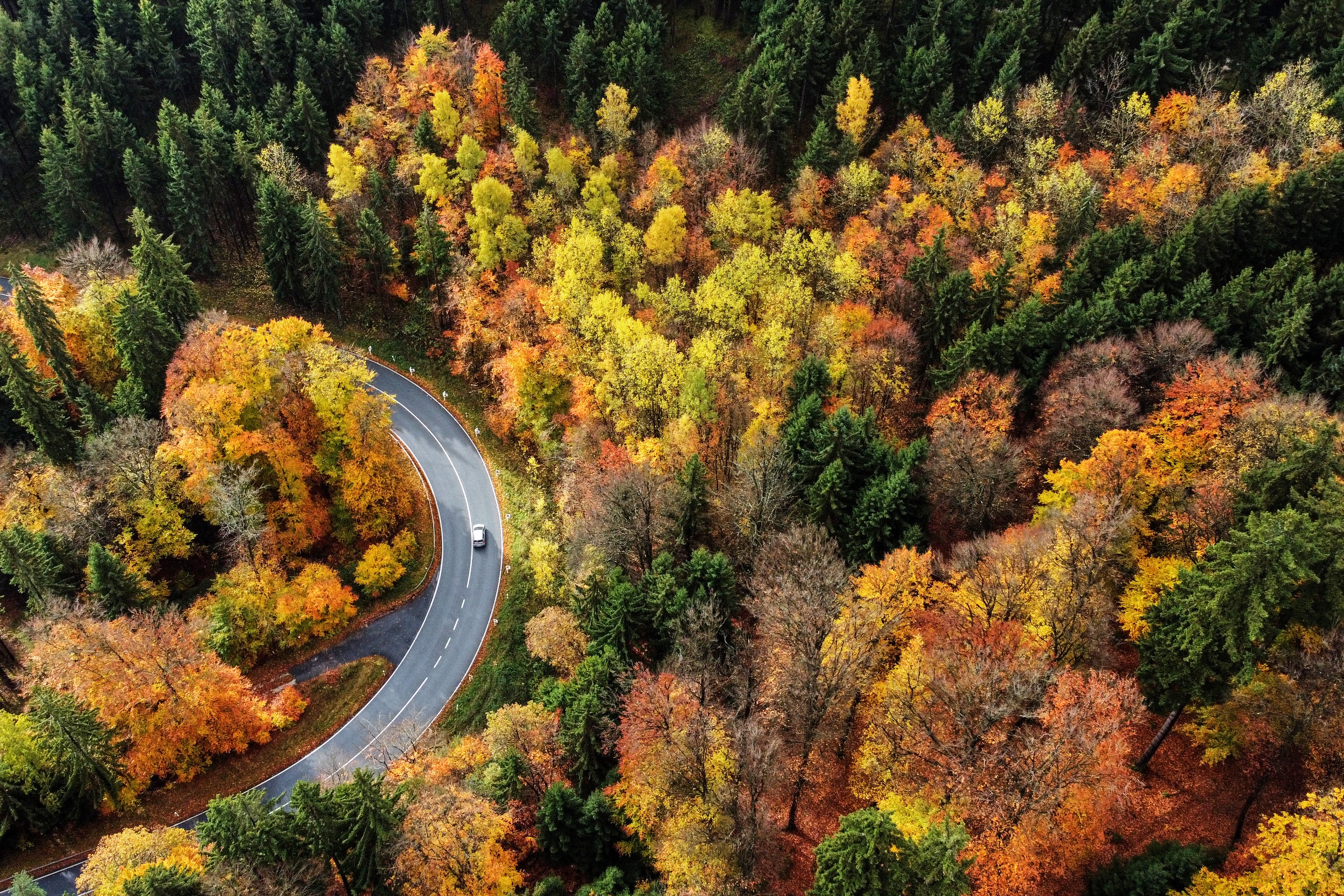 A car drives on a curved road through fall-colored woods.