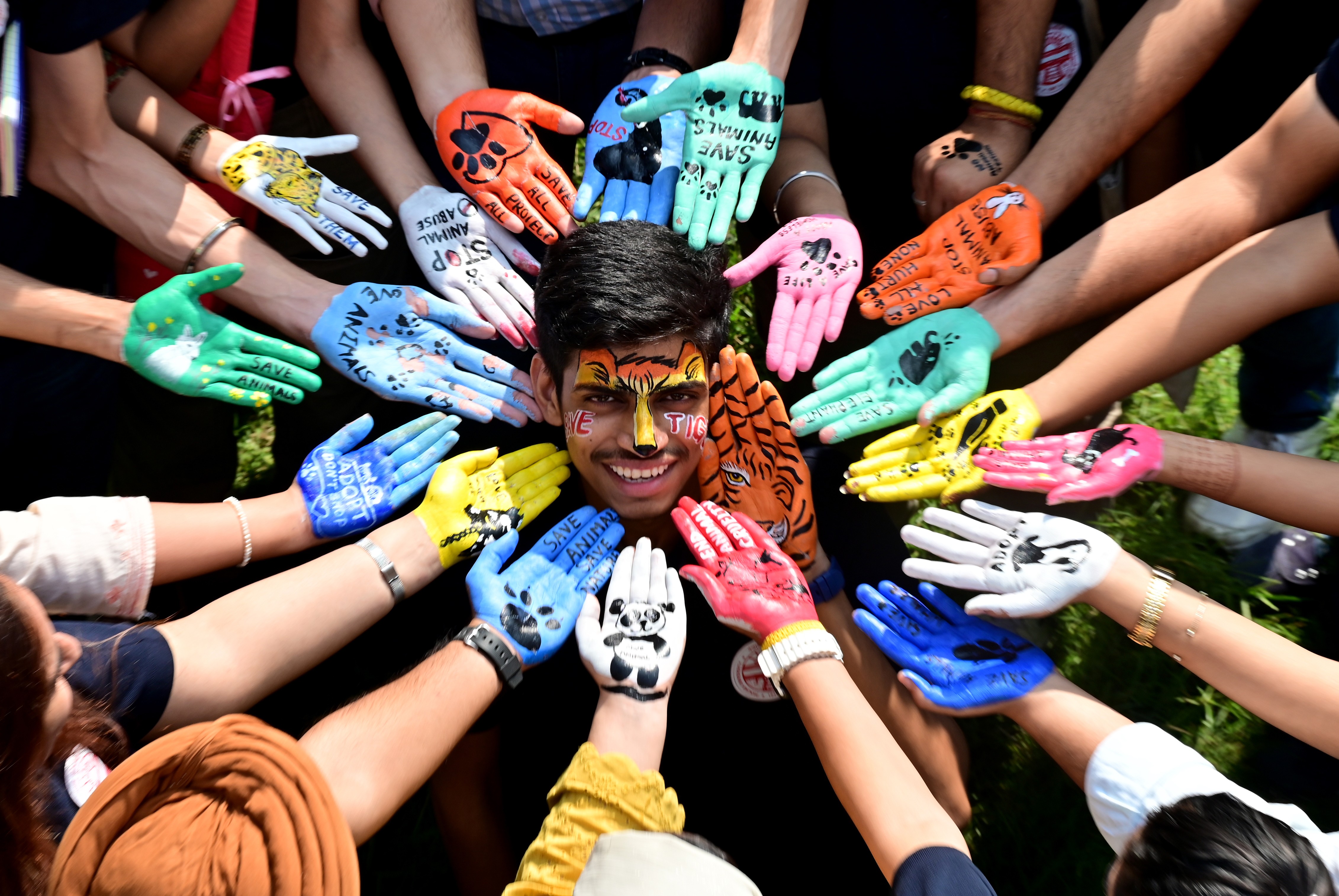 An elevated view of the smiling face of a student, surrounded by nearly two dozen painted hands, all sporting messages promoting animal welfare.