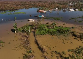 In a Jamaican Town, Melissa Leaves Floods ‘Infested’ by Dead Livestock