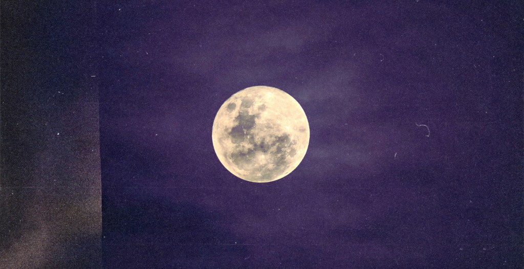 Get Ready For The Beaver Supermoon, The Largest Full Moon You’ll See This Year