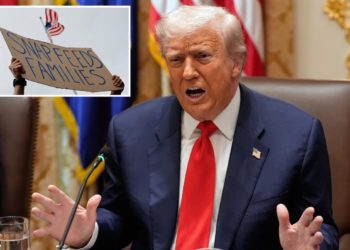 Federal judge rules Trump admin’s SNAP benefits cutoff ‘likely unlawful’