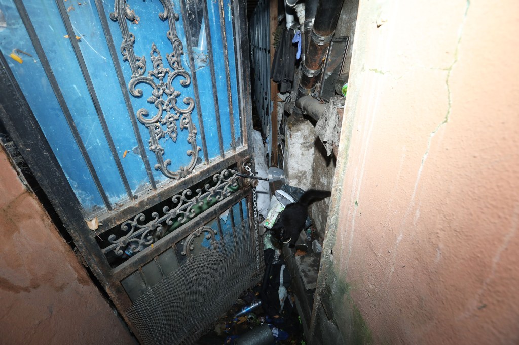 103125 Showing the Back entrance to the Basement Apartment of Aaron Akaberi 39years old, at 564 Kingston Avenue in Brooklyn, NY. 