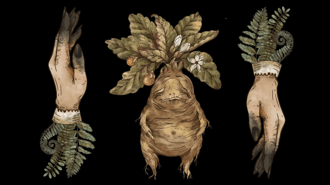 3 Witch Folklore Potions That Have Real Power