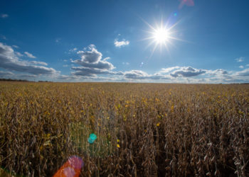 4 Republicans back Senate resolution to undo Trump’s tariffs around the globe