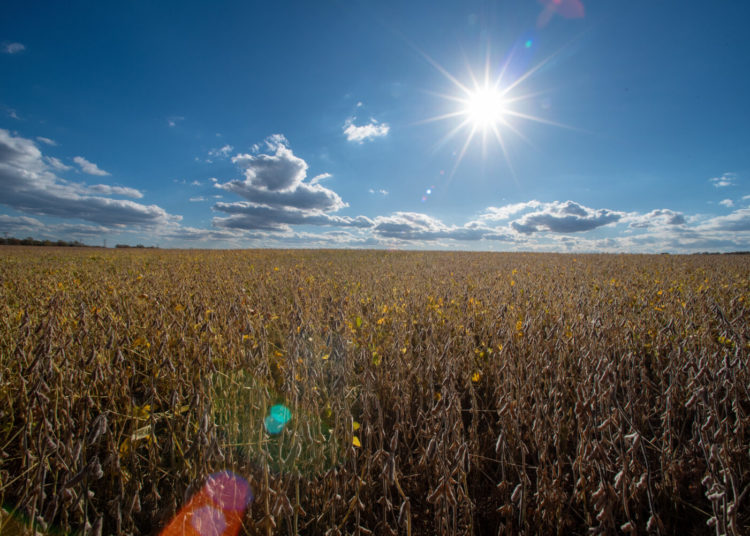 4 Republicans back Senate resolution to undo Trump’s tariffs around the globe