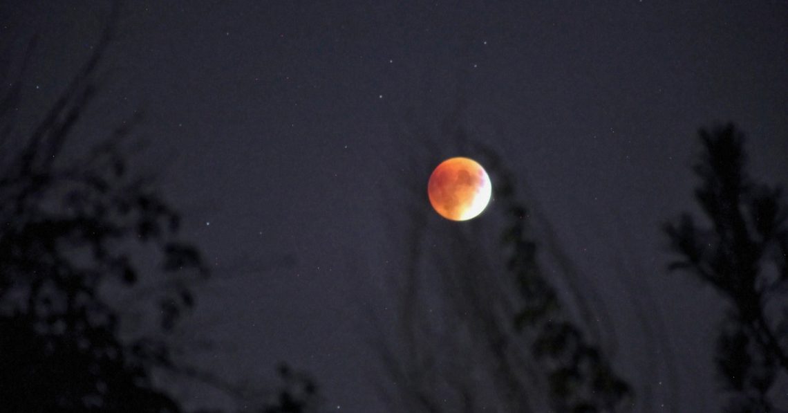 4 Zodiac Signs Set for Major Growth During October’s Harvest Supermoon